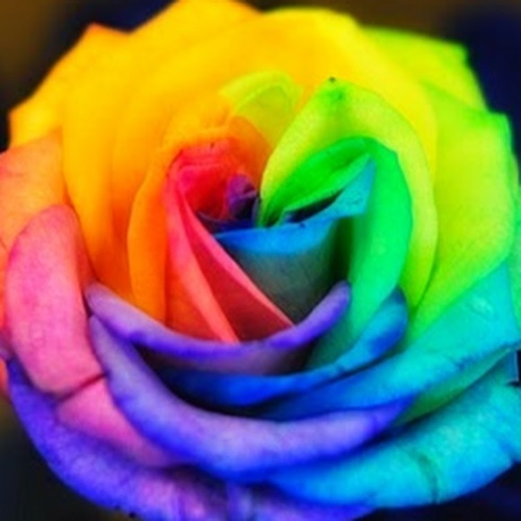 Meet your Posher, Midge - Picture 1 of 1